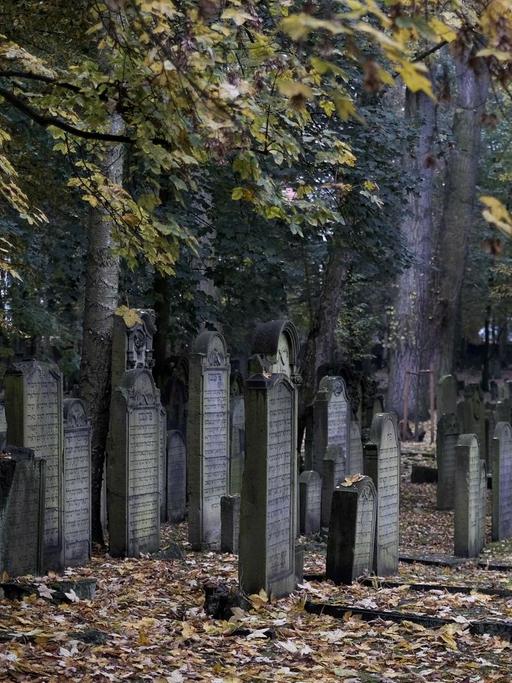 Grabsteine stehen am 27.10.2016 in Hamburg auf dem jüdischen Friedhof in Hamburg-Altona