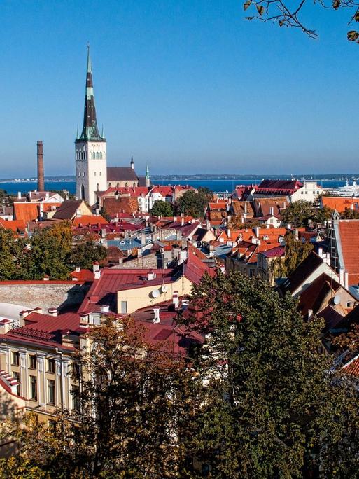 Blick auf die Altstadt von Tallin in Estland