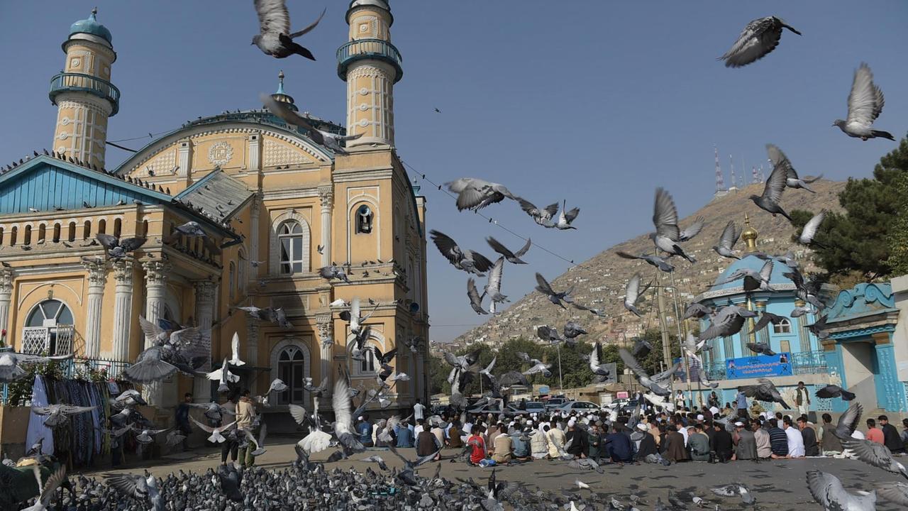 Afghanische Männer beten zum Opferfest neben einer Moschee in Kabul, im Vordergrund fliegt ein Schwarm Tauben.