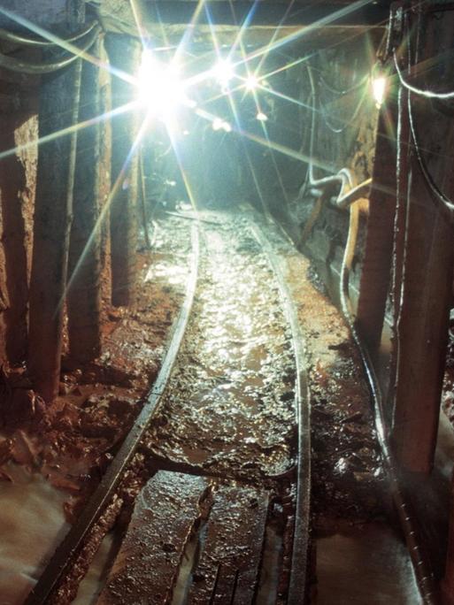 Ein Schacht einer Wismut-Grube 1996: Grubenwasser fließt in diesem Streckenabschnitt auf der 435-Meter-Sohle. Nur ein Bruchteil der einst 1.034 km offenen Grubenbaue ist derzeit noch begehbar.