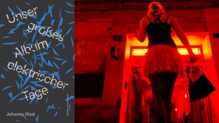 Cover Johanna Maxl: „Unser großes Album elektrischer Tage“, im Hintergrund eine Prostituierte
