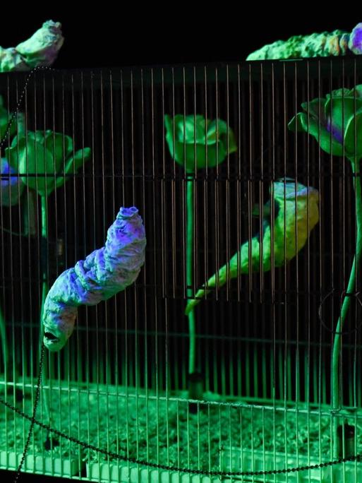 Das Kasseler Fridericianum zeigte im Spetember 2016 eine Retrospektive des japanischen Künstlers Tetsumi Kudo (1935-1990), in dessen Arbeiten sich Körperteile, Pflanzen und elektrische Apparaturen zu posthumanen Gefügen verbinden