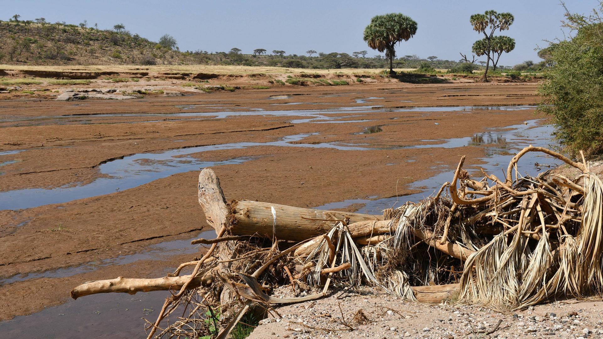 Trockenes Flussbett in Kenia