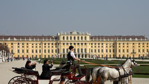 Ein Fiaker vor Schloss Schönbrunn
