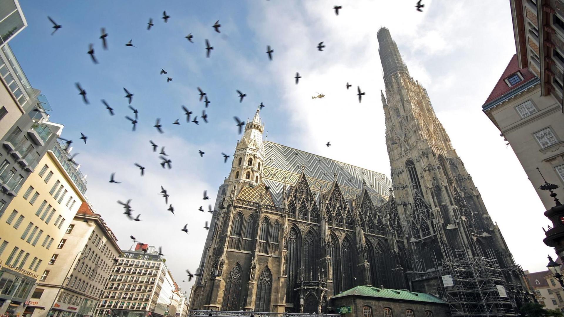 Tauben fliegen vor dem Stephansdom auf.