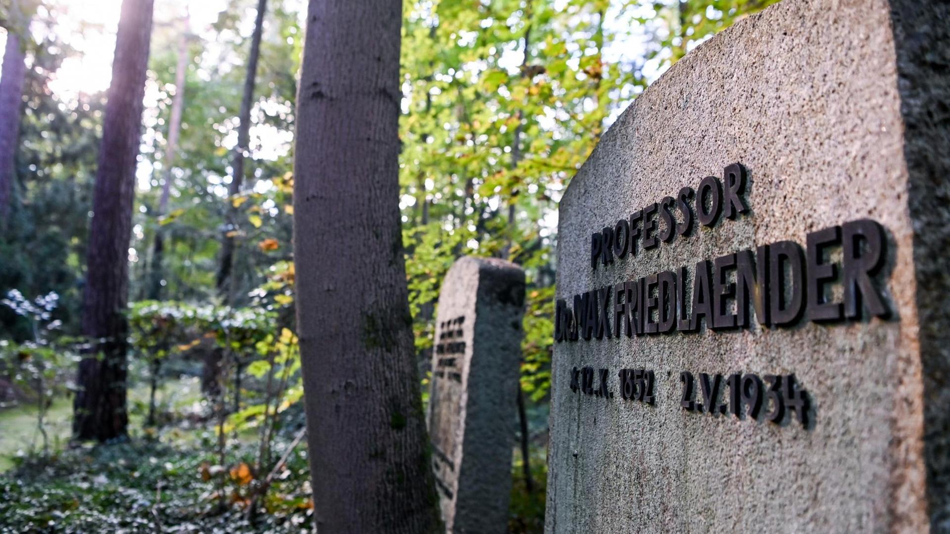 Das Grab von Max Friedlaender, ein Musikwissenschaftler jüdischen Glaubens auf dem Südwestkirchhof Stahnsdorf. Der Grabstein liegt zwischen Bäumen.