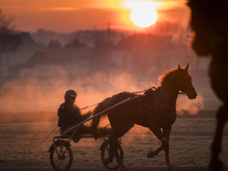 Ein Pferd und sein Reiter im Sulky beim Training im Traber-Zentrum von Grosbois in Frankreich