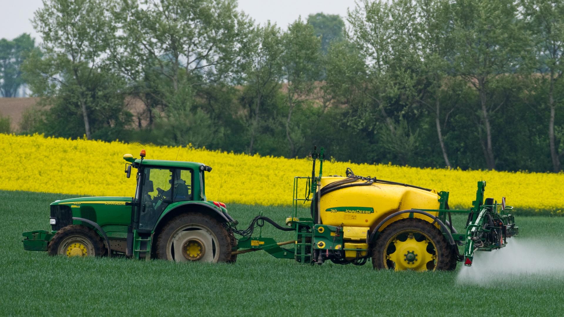 Ein Landwirt versprüht auf einem Getreidefeld unweit des brandenburgischen Wriezen ein Pestizid, aufgenommen am 10.05.2010.