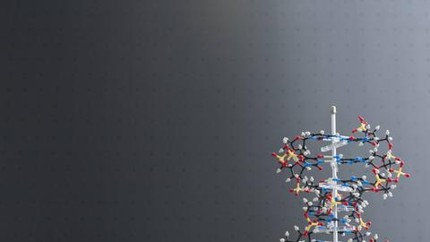 Modell eines DNA-Moleküls