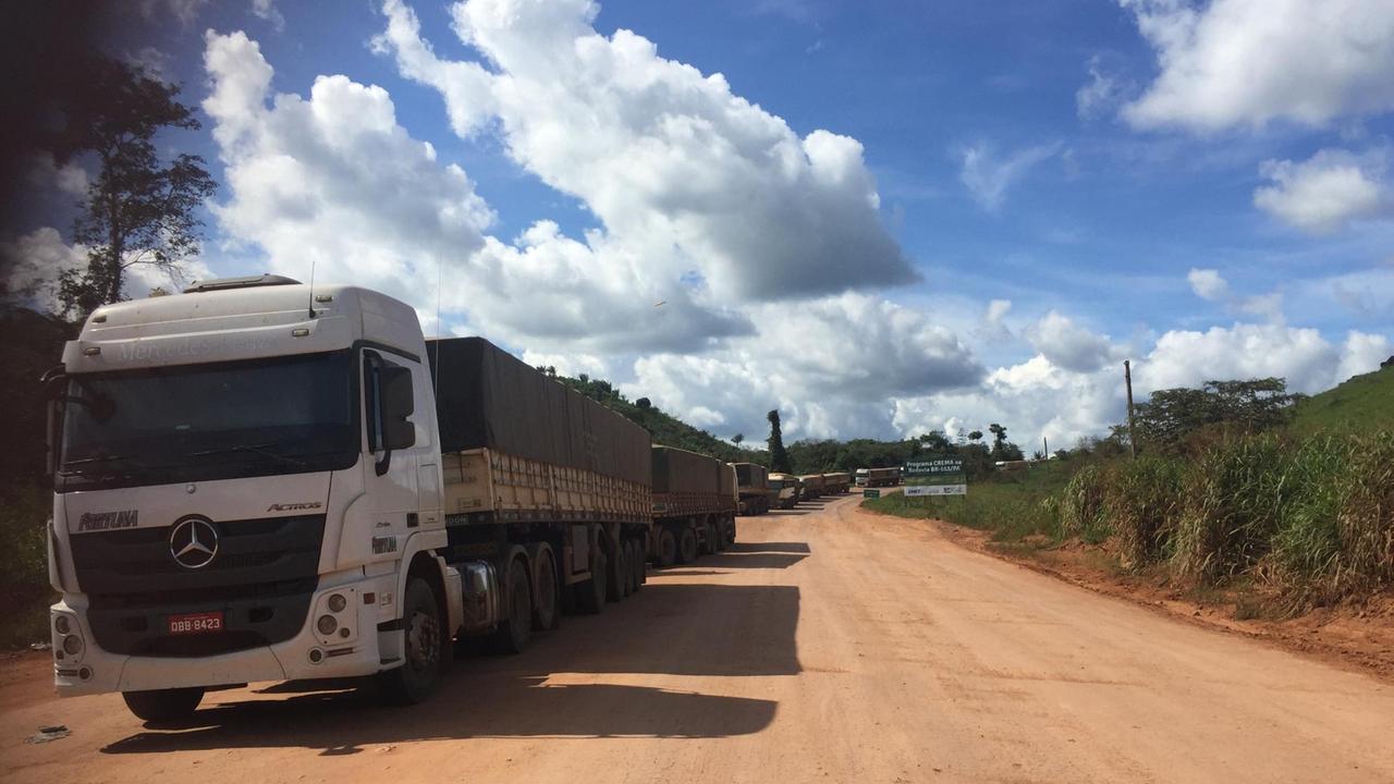 Endlose Schlangen von LKW beladen mit Soja, das als Viehfutter exportiert wird.