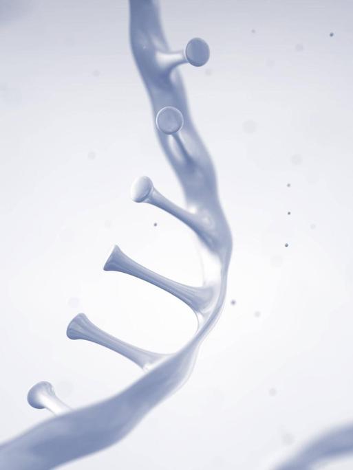 RNA, Illustration