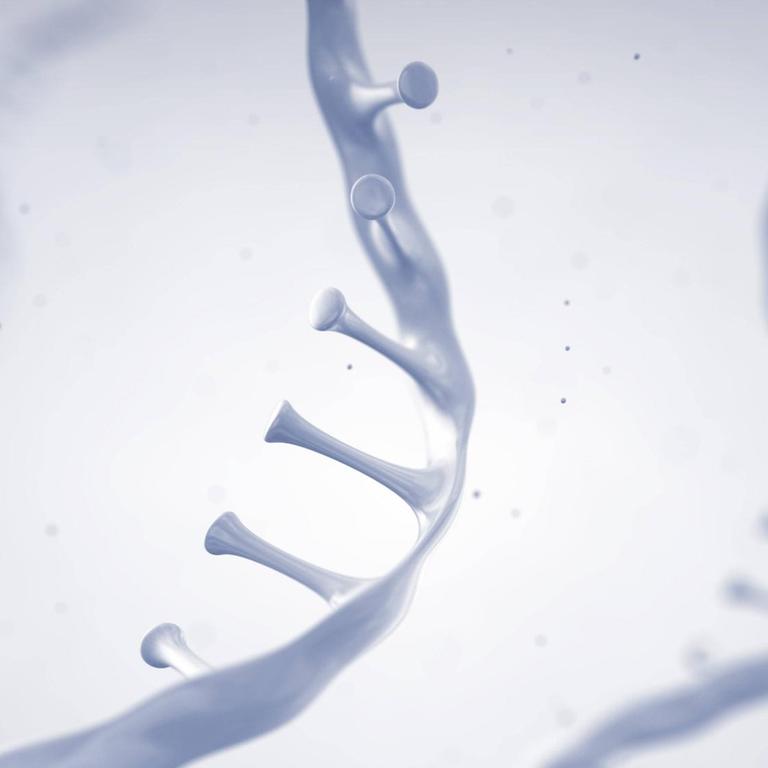 RNA, Illustration