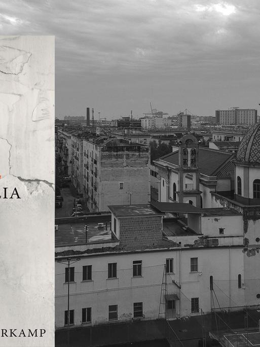Cover: "Elena Ferrante: Frantumaglia" und Blick auf Poggioreale, Stadtteil von Neapel