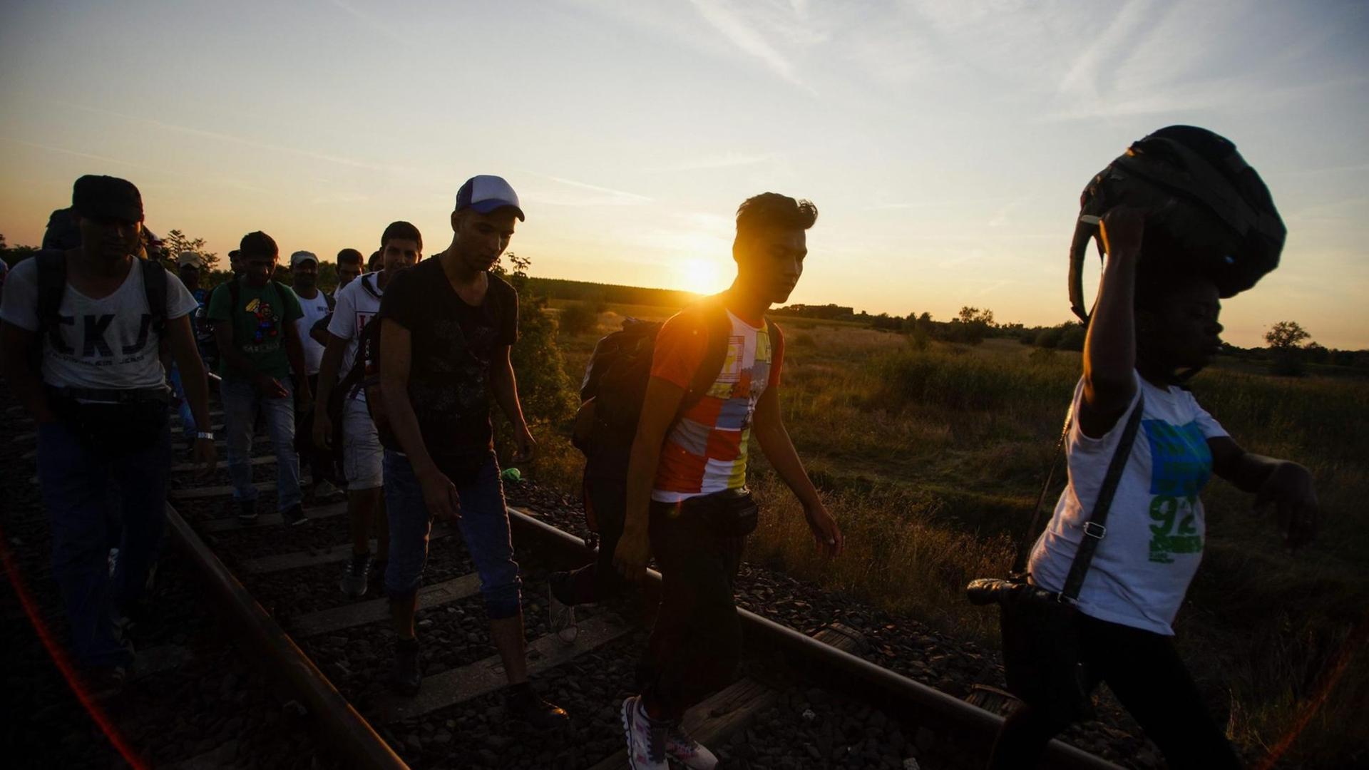 Flüchtlinge an der Grenze zwischen Ungarn und Serbien