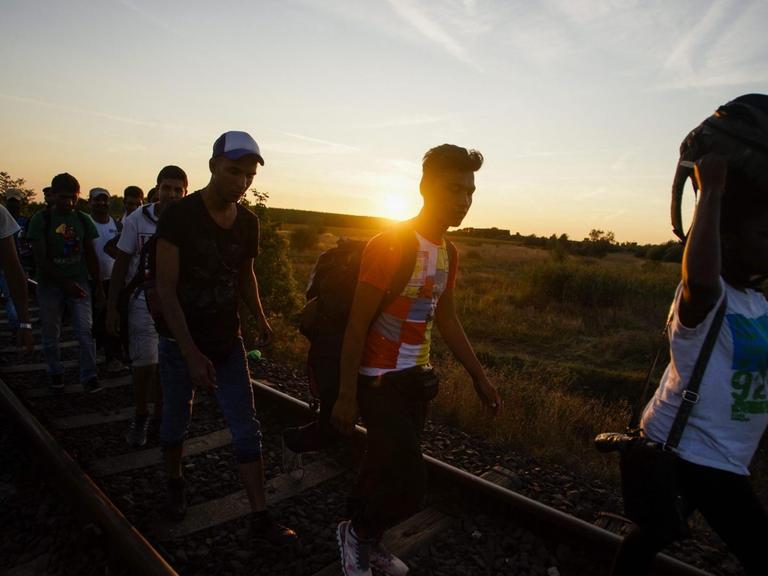 Flüchtlinge an der Grenze zwischen Ungarn und Serbien