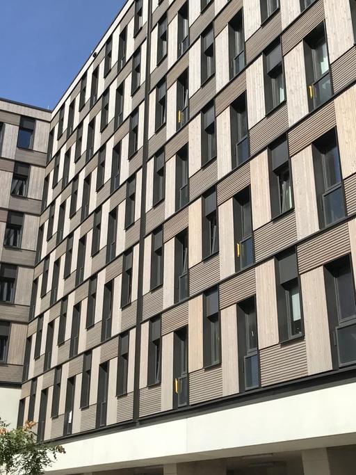 Beim Holzwohnblock Woodie sind nur die Fundamente, Treppenhäuser und Versorgungsschächte aus Beton