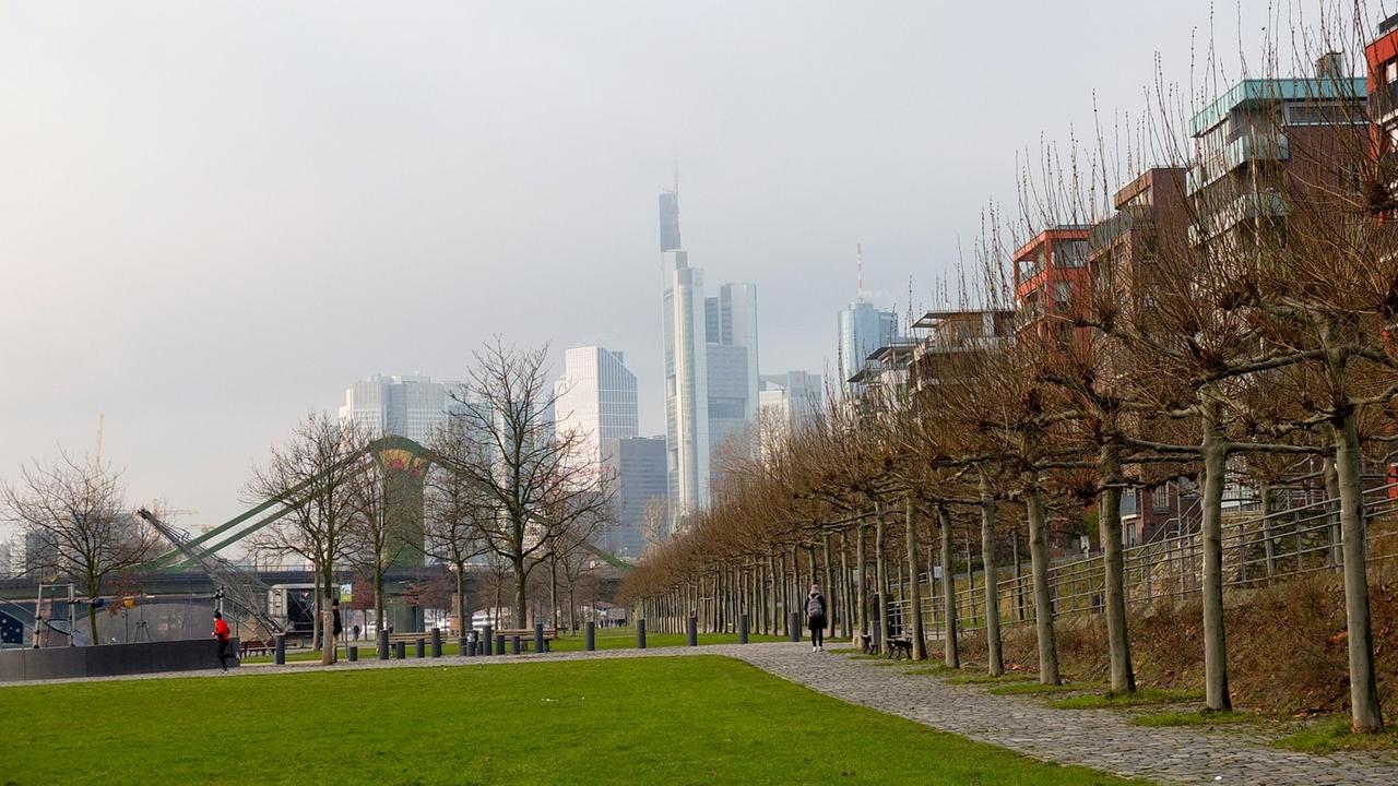 Am Mainufer mit Frankfurter Skyline, 2015