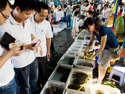 Kunden stehen mit gezückten Geldscheinen vor Plastikbottichen mit Schildkröten (6.10.2009) auf dem Huansha-Markt in Guangzhou, China. Schildkröten werden als Haustiere gehalten, aber auch verzehrt oder als Medizin eingenommen. In der traditionellen chinesischen Medizin steht die Schildkröte für Weisheit und Langlebigkeit.
