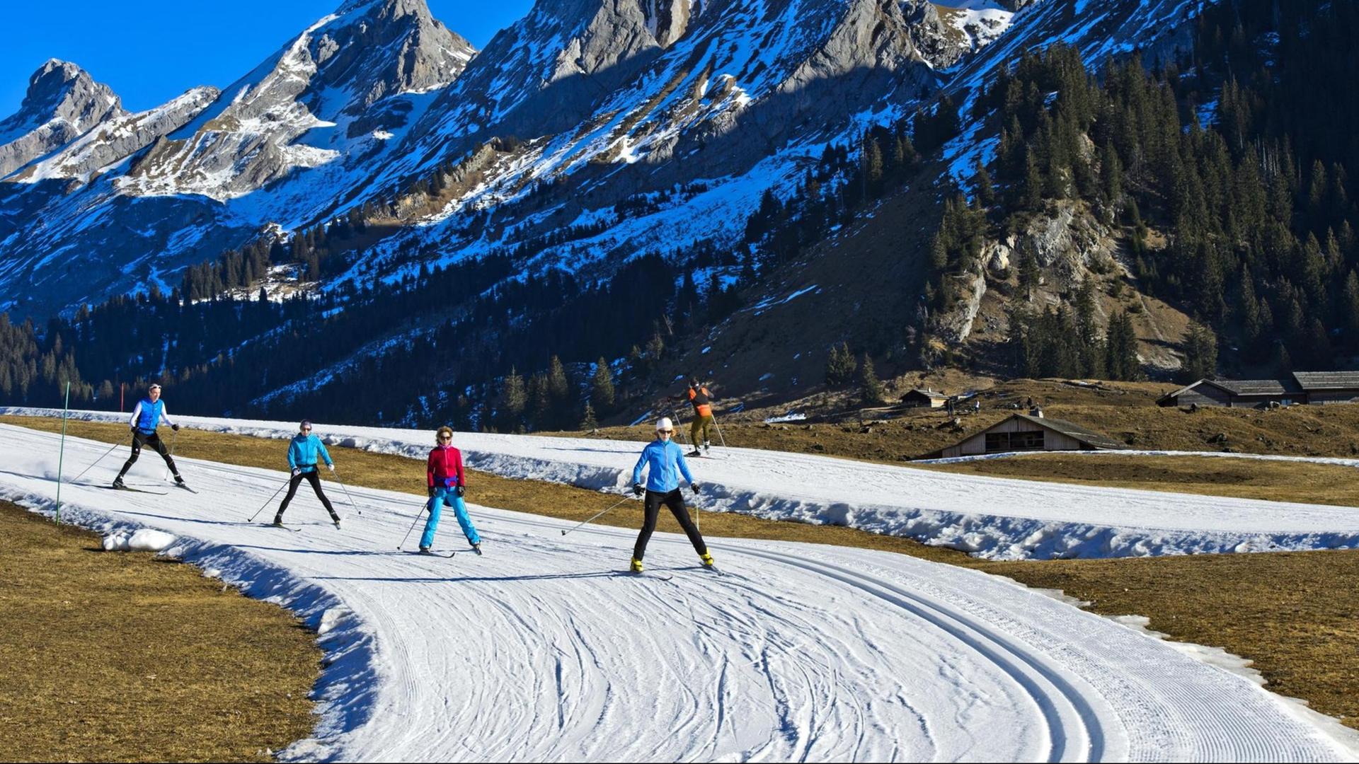 Skilangläufer auf Loipen aus Kunstschnee vor dem Massif des Aravis