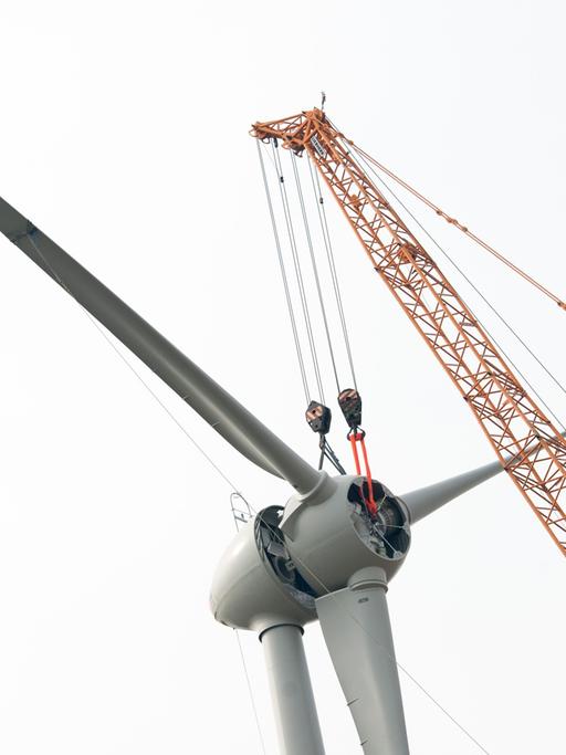 Der Propeller eines Windrades wird am 31.03.2014 nahe Visselhövede (Niedersachsen) montiert.