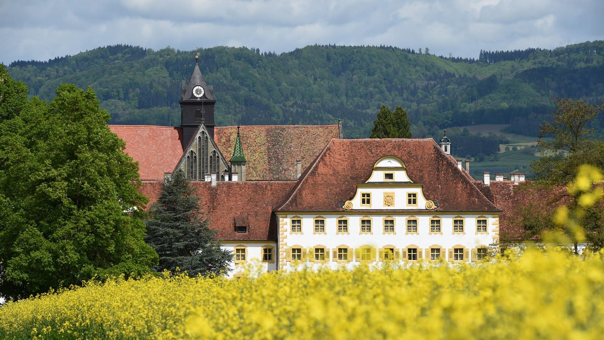 Die Schule Schloss Salem ist am 08.05.2014 (Baden-Württemberg) hinter einem Rapsfeld zu sehen.