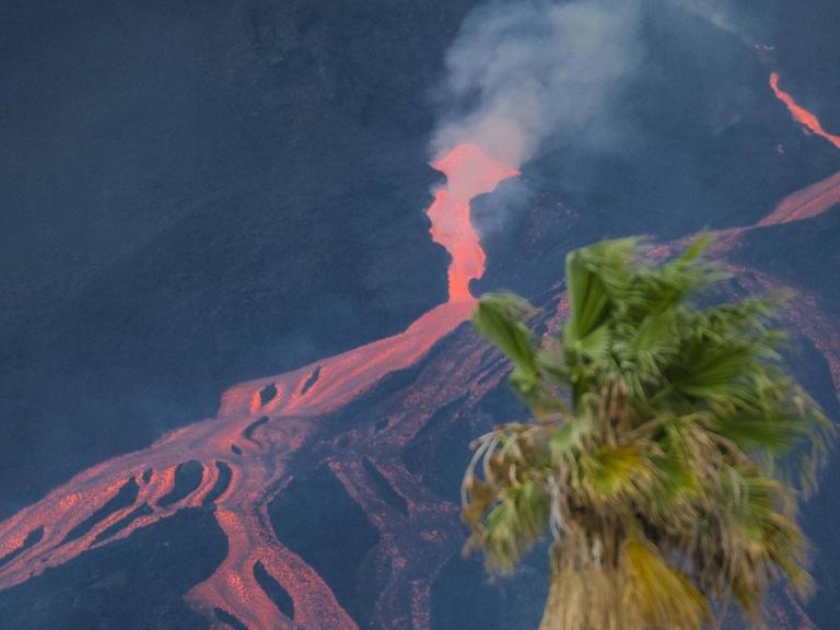 Blick auf den Vulkan und den Lavastrom von El Paso aus, aufgenommen am 23.10.2021. Im Vordergrund ist eine Palme zu sehen.