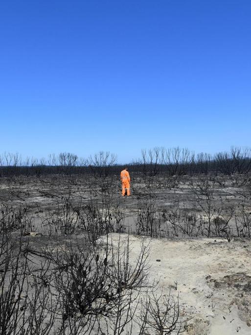 Ein Mann, in einem orangefarbenen Overall, steht unter blauem Himmel in der verbrannten Landschaft und schaut sich die Brandschäden an.