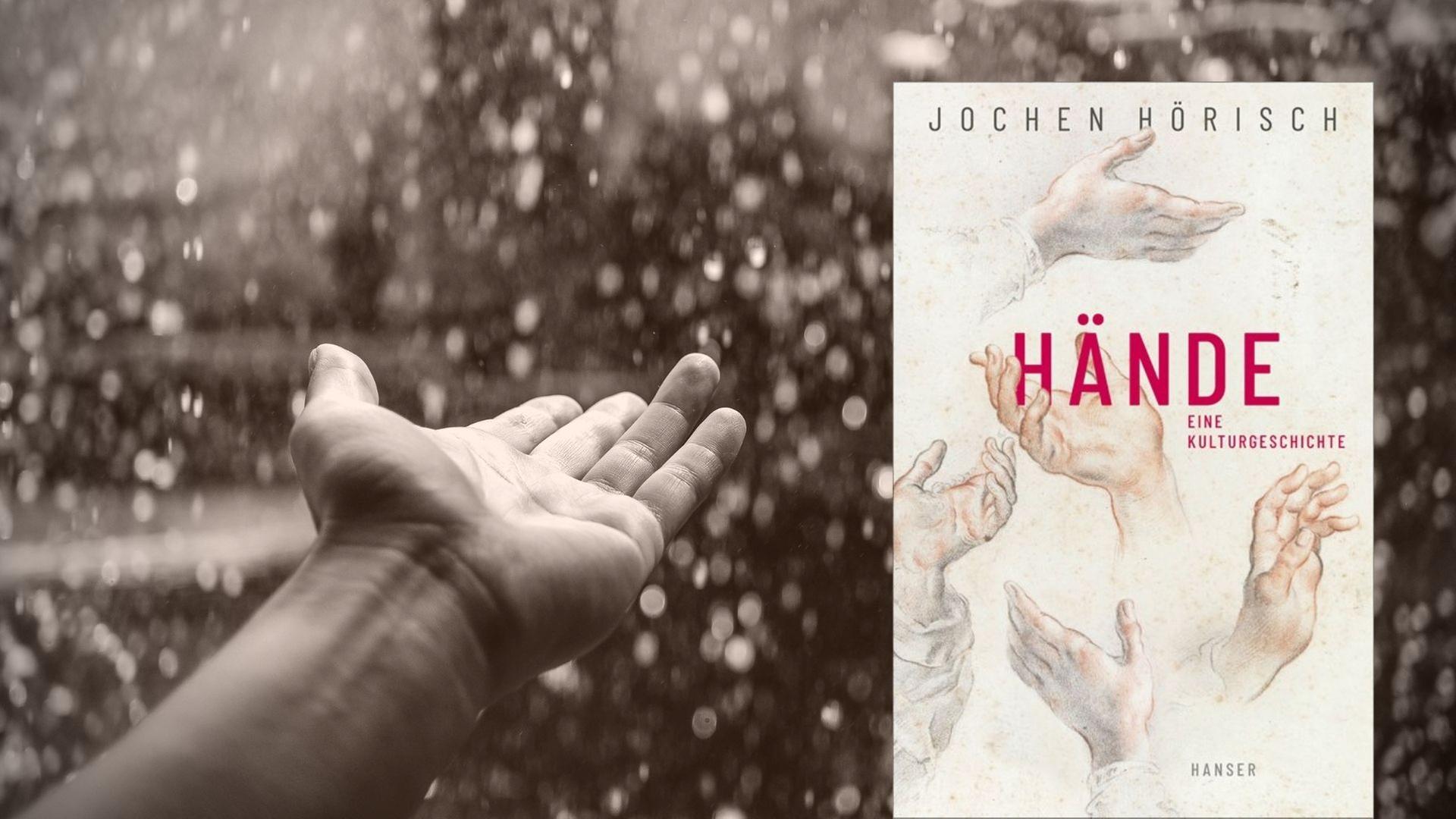 Collage: Vordergrund: Buchcover "Hände. Eine Kulturgeschichte" // Hintergrund: Stockimage Hand