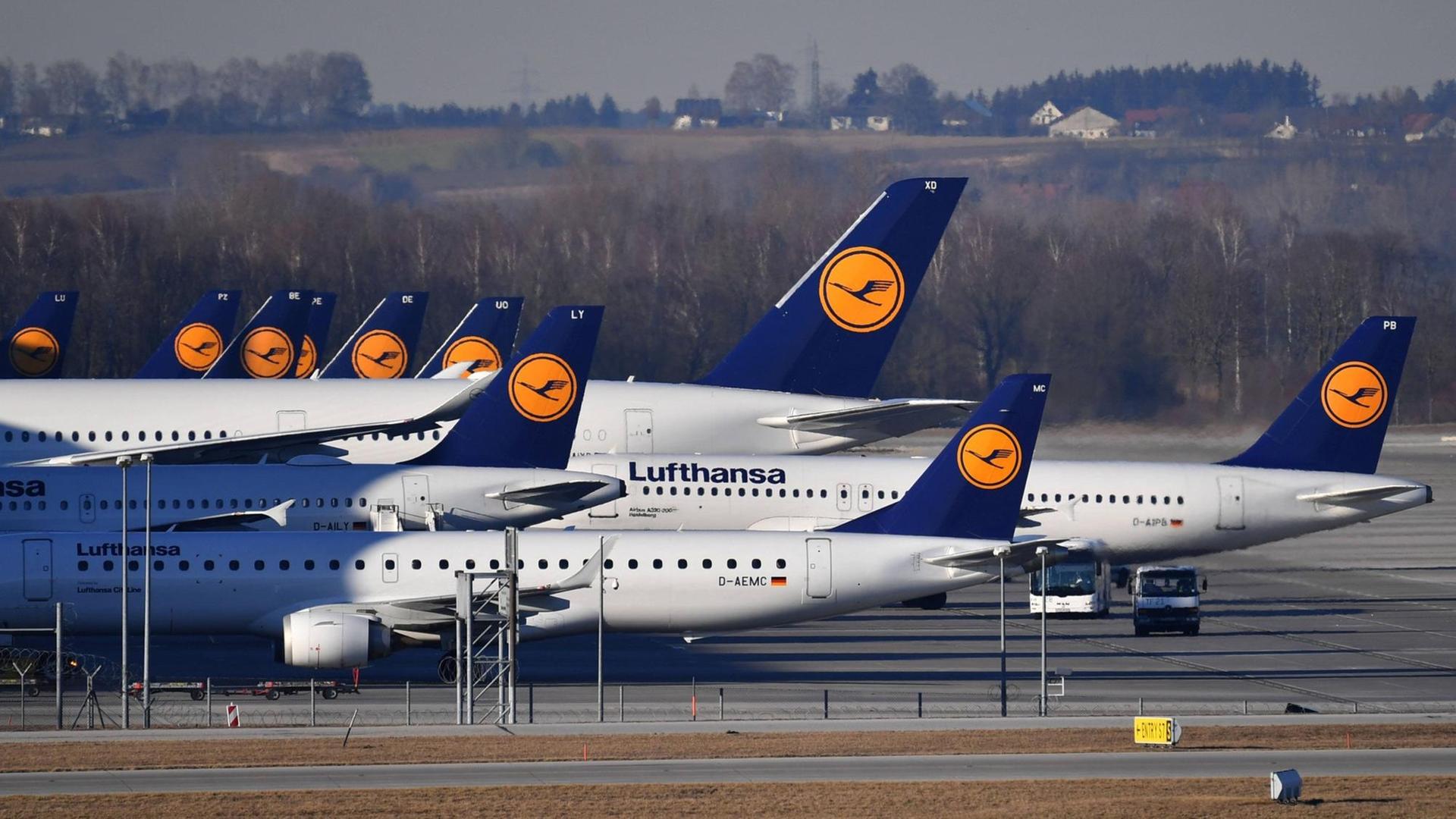Auf dem Flughafen in München stehen viele Lufthansa-Flugzeuge.