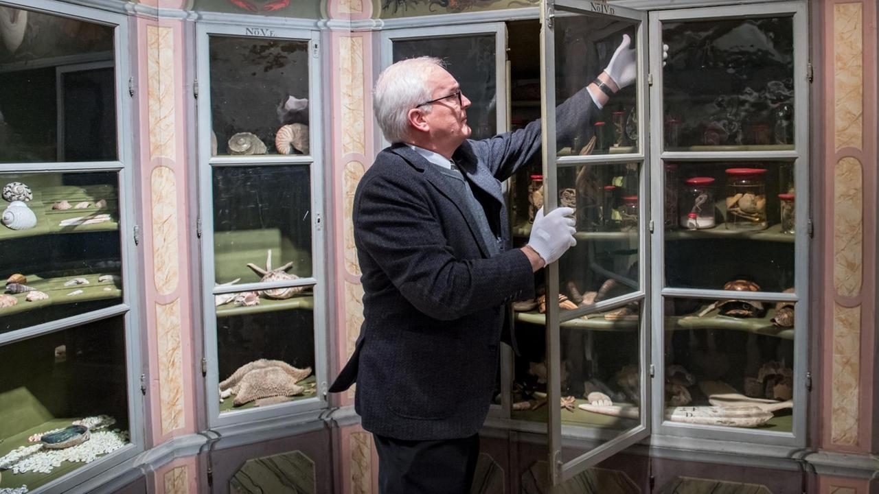Der Direktor der Franckeschen Stiftungen öffnet eine Schranktür, hinter der barocke Ausstellungsstücke lagern. Der Direktor der Franckeschen Stiftungen öffnet eine Schranktür, hinter der barocke Ausstellungsstücke lagern.