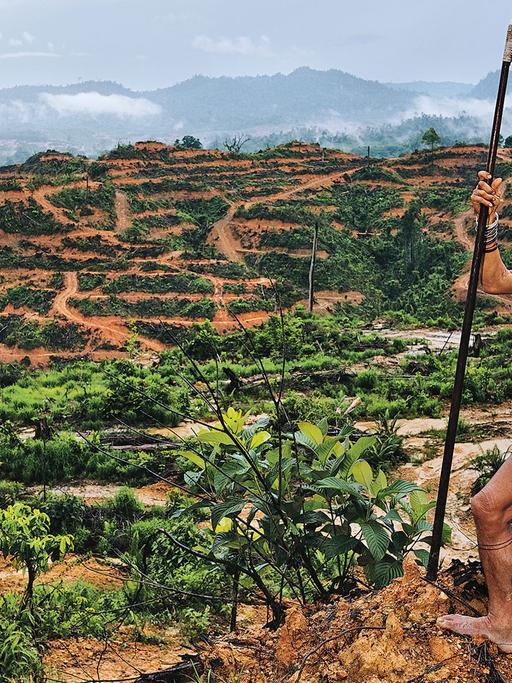 Teberan, ein Jäger auf Borneo, vor gerodeter Landschaft