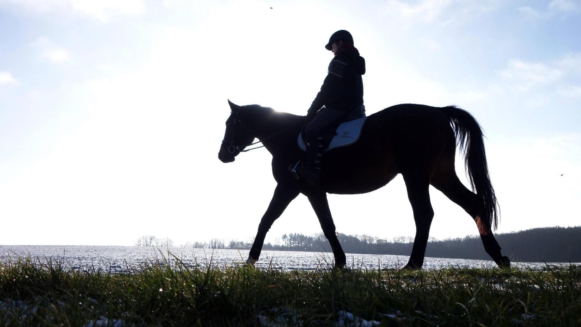 Ein Mädchen reitet auf einem Pferd durch die Landschaft in Mecklenburg-Vorpommern.