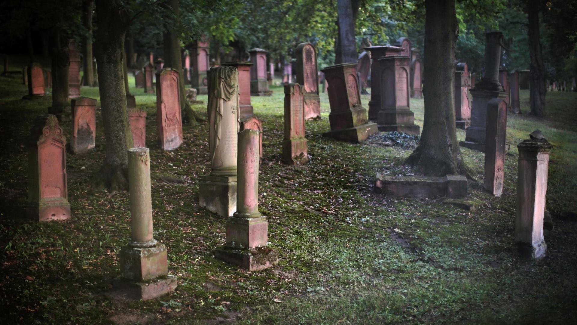 Alte Grabsteine auf dem Jüdischen Friedhof in Mainz