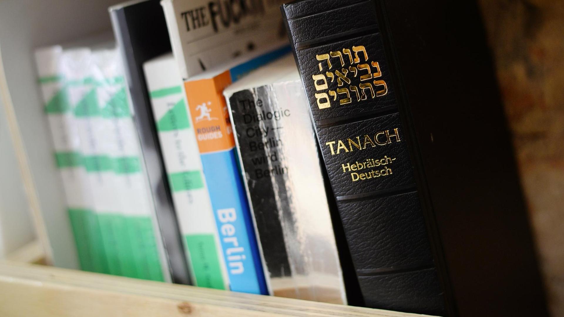 Wahlheimat Deutschland: Ein Tanach mit jüdischen Bibeltexten steht neben einem Berlin-Reiseführer und anderen Büchern in einem Bücherregal eines Berliner Cafés.