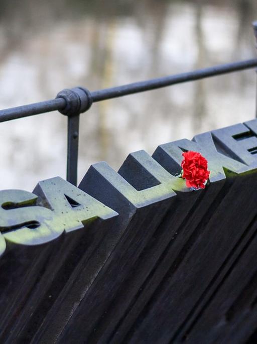 Ein Schriftzug mit dem Namen von Rosa Luxemburg steht am Landwehrkanal in Berlin. Das Denkmal stammt von Ralf Schüler und Ursulina Schüler-Witte.