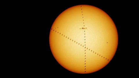 Die ISS zieht von rechts unten nach links oben über die Sonne, der Vogel von unten senkrecht nach oben