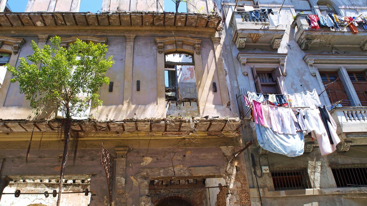 Altstadt von Havanna auf Kuba: Hausruine mit einem Baum, der in der Luft wächst