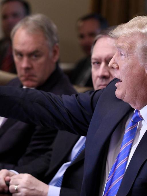 Us-Präsident Trump während einer Kabinettssitzung im Weißen Haus