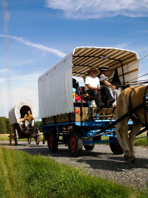 Mehrere Planwagen fahren auf der alten Handelsstraße "Via Regia" nahe Schmochtitz.