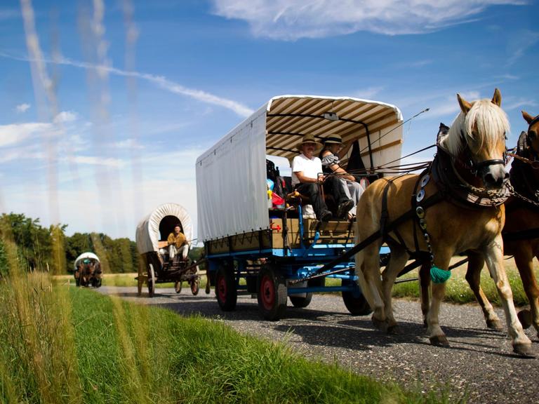 Mehrere Planwagen fahren auf der alten Handelsstraße "Via Regia" nahe Schmochtitz.