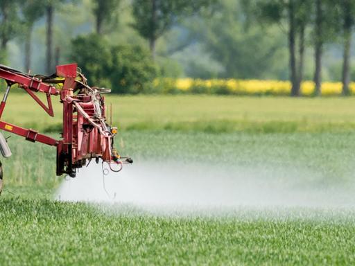 Ein Landwirt fährt mit einer Dünger- und Pestizidspritze über ein Feld mit jungem Getreide nahe Neuranft im Oderbruch (Brandenburg).