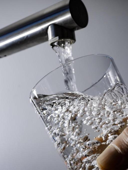 Symbolfoto: Wasser fliesst aus einem Wasserhahn in ein Glas.