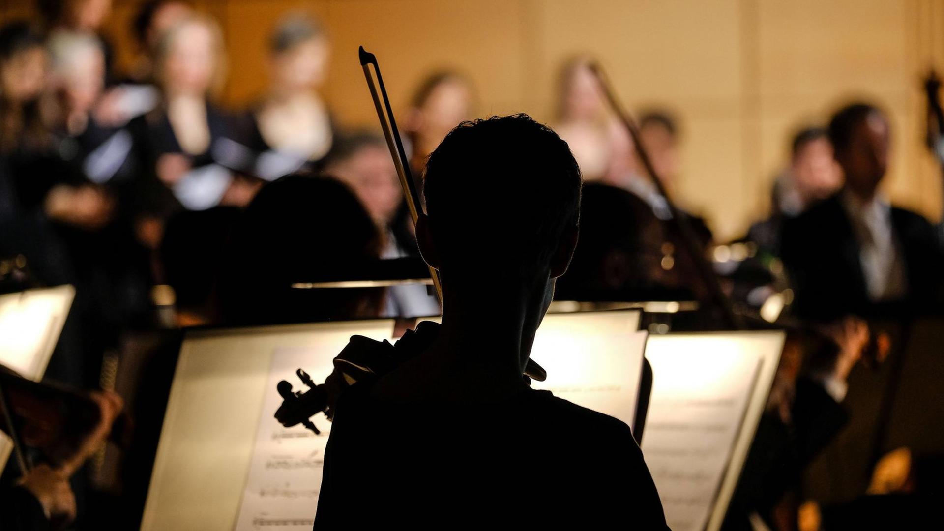 Orchester, ein Musiker als schwarze Silhouette von hinten.