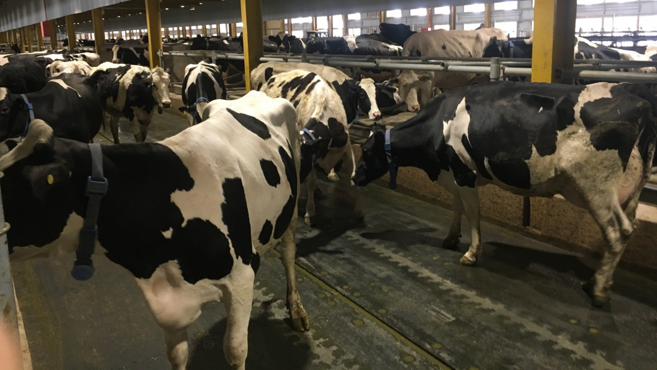 Leider liegt für dieses Bild keine Bildbeschreibung vor Leider liegt für dieses Bild keine Bildbeschreibung vor