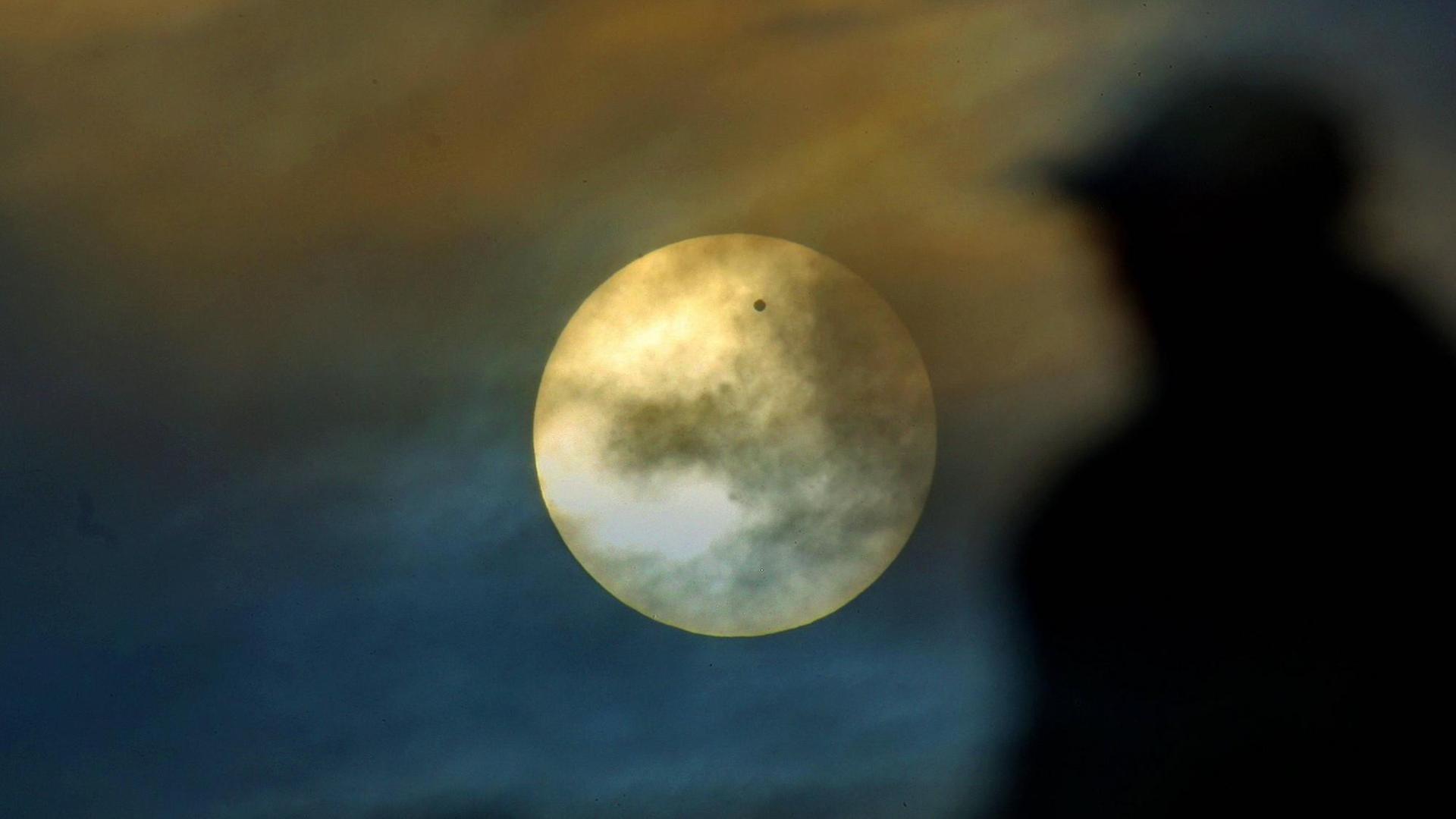 Sehr schön und sehr selten: Die Venus als runder schwarzer Fleck vor der Sonne