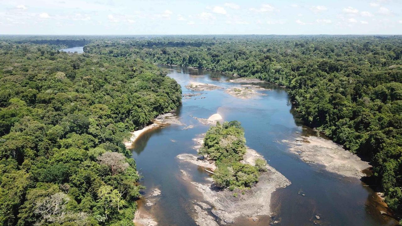 Luftaufnahme des typischen Lebensraums der Aalhochebene im Amazonasgebiet