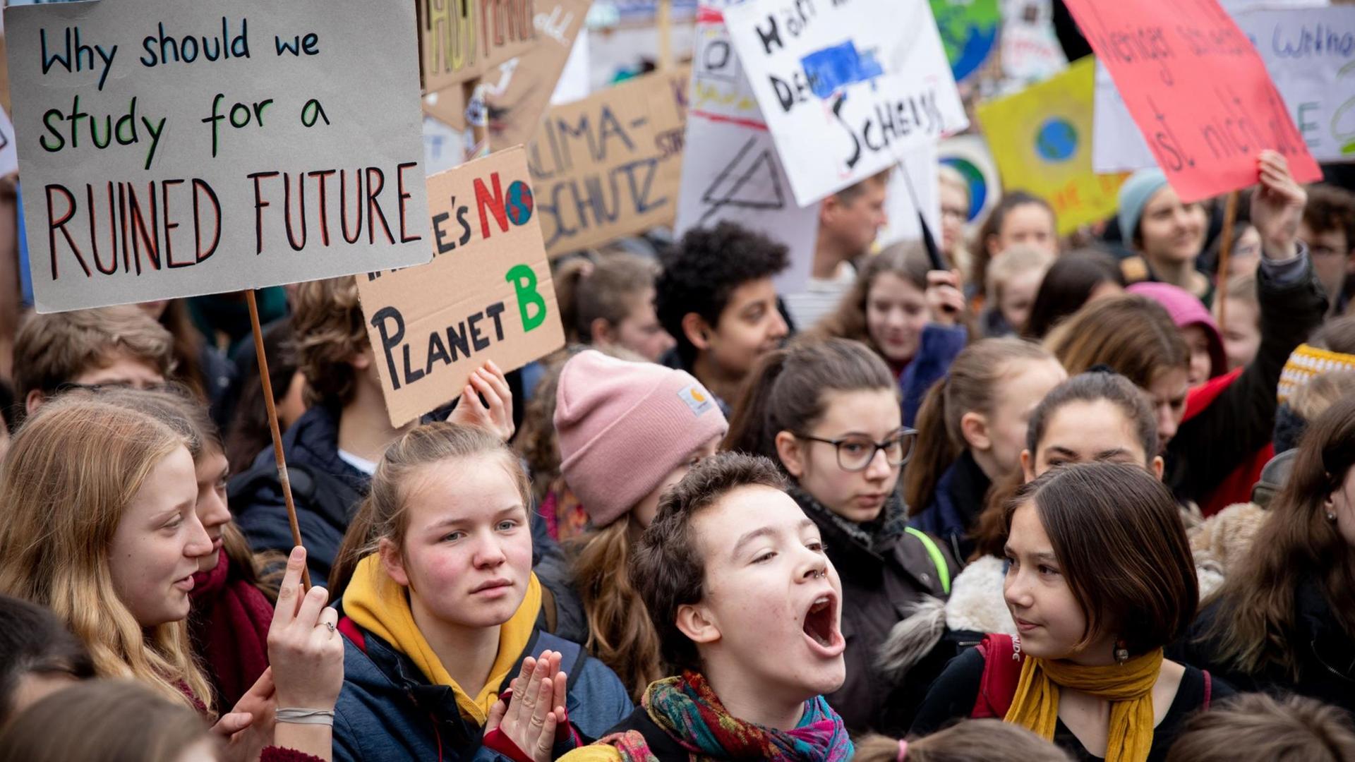 Das Bild zeigt eine große Schüler-Menschenmenge, viele halten Schilder mit Plakaten in den Händen.