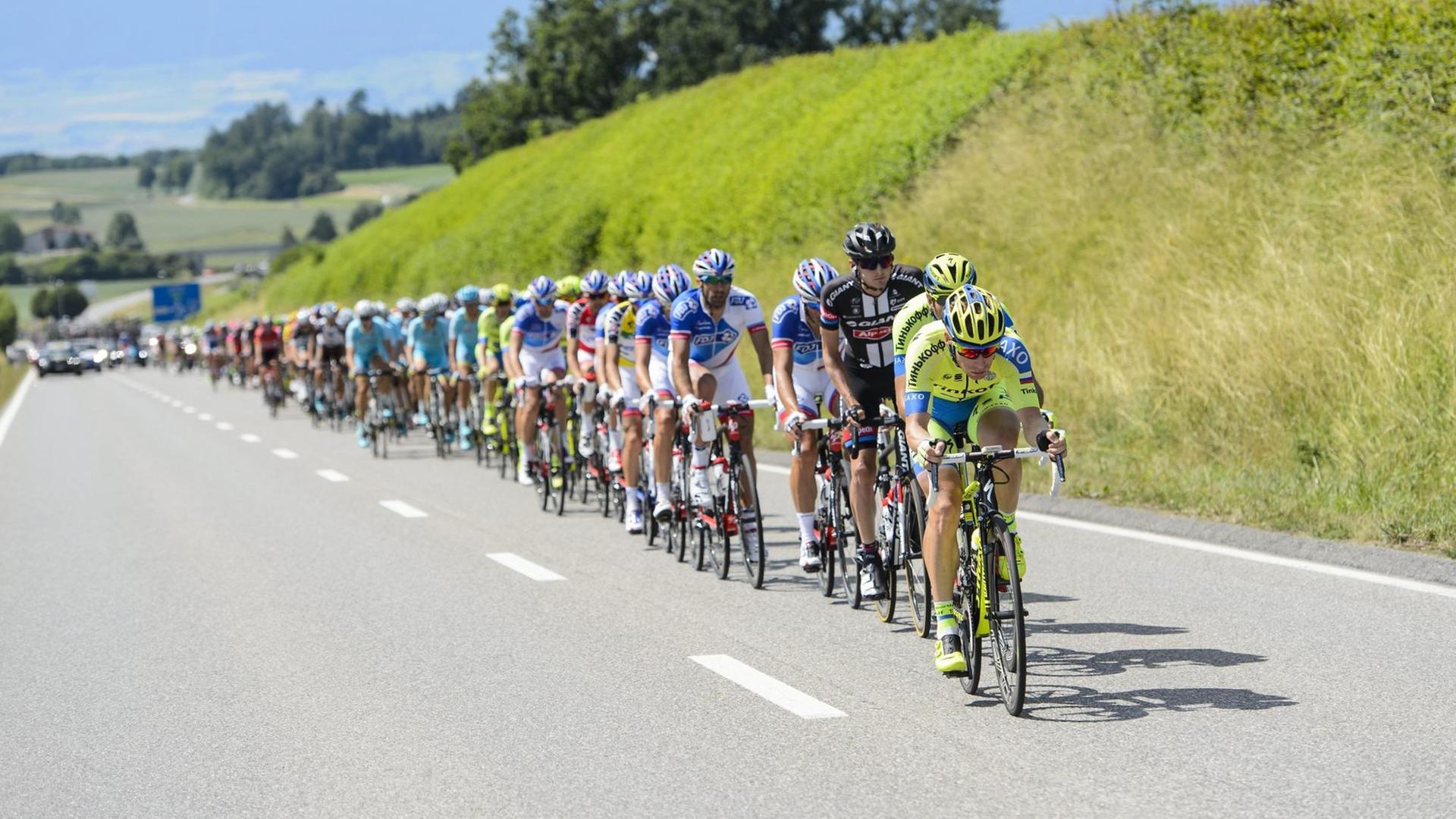 Eine Aufnahme der 79. Tour de Suisse (19.Juni 2015). Radfahrer fahren hintereinander einen Hang hoch.