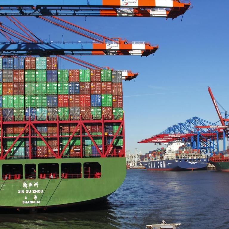 Containerschiff "Xin Ou Zhou" aus Shanghai in China bei der Containerverladung am Containerterminal Eurokai, links, und andere Schiffe am Burchardkai im Hamburger Hafen