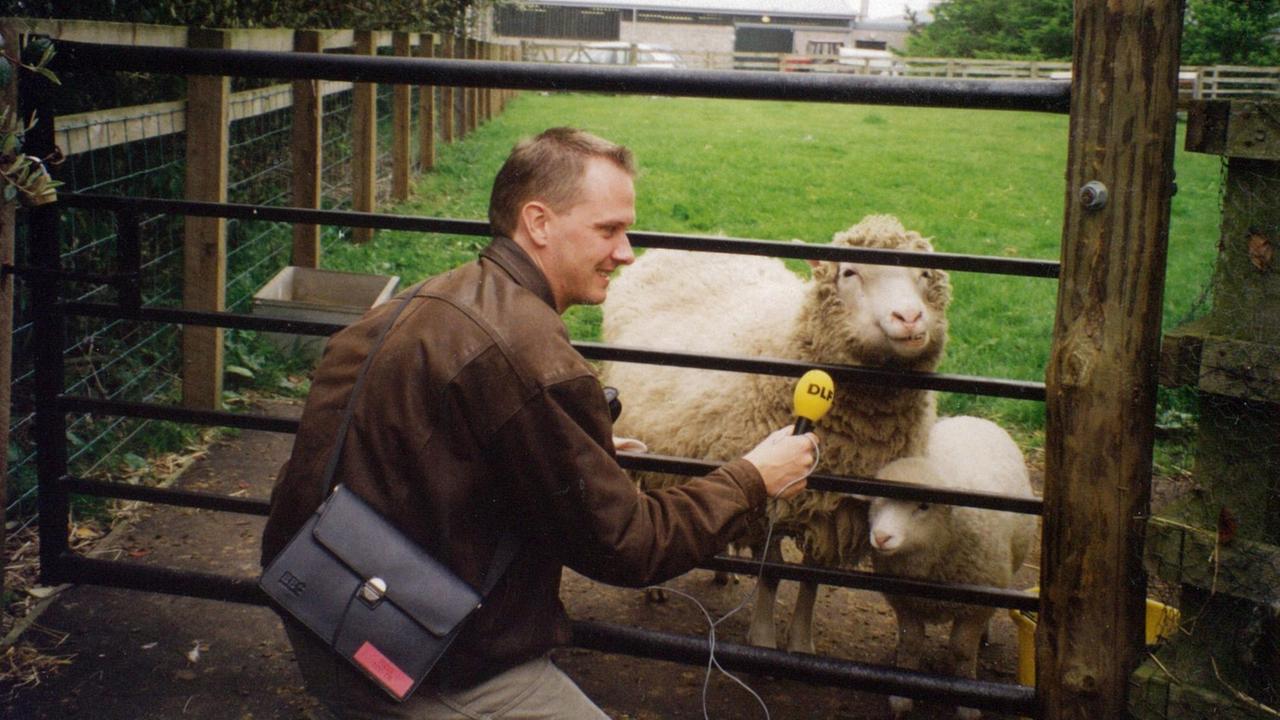 Der DLF Reporter Michael Lange hält dem Klonschaf Dolly ein Mikrofon unter die Schnauze. Dolly steht mit ihren Lämmern auf einer Weide und guckt den Journalisten durch das Gatter an.
